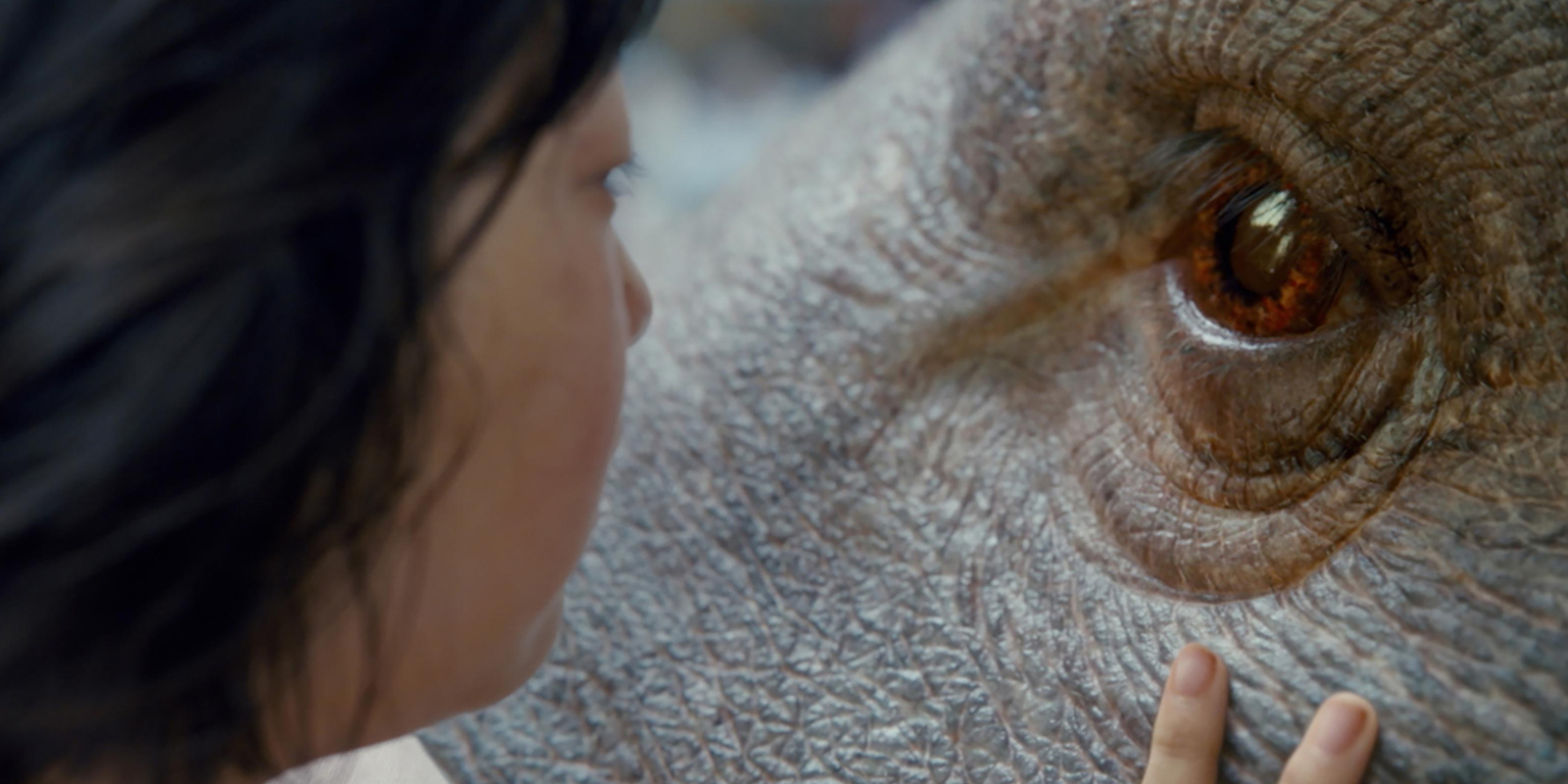Okja